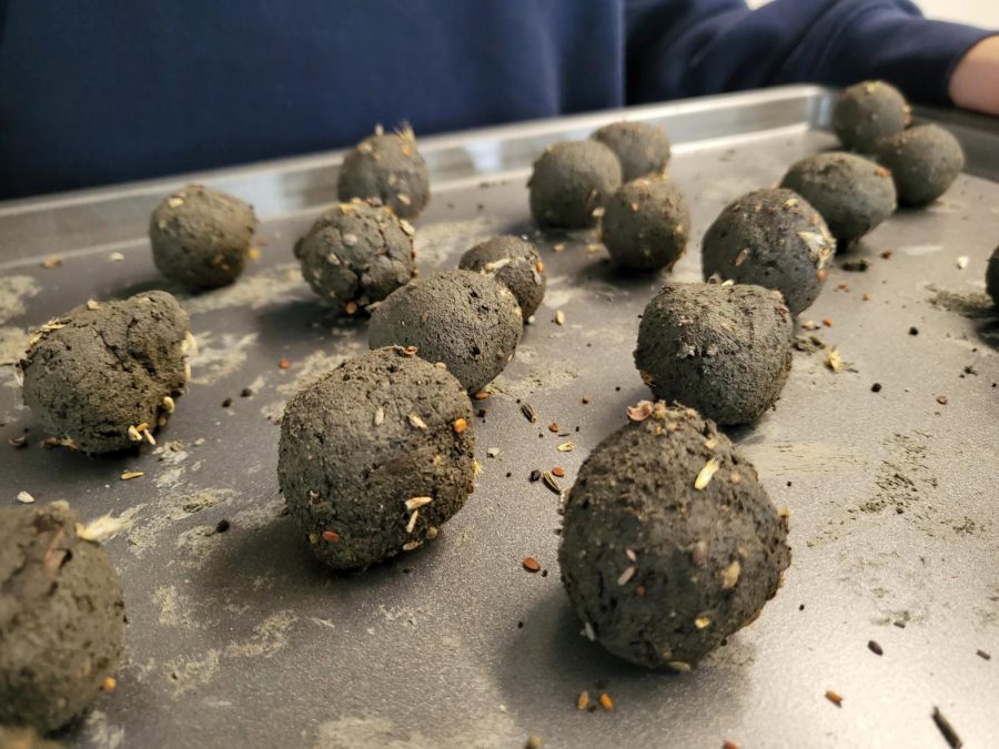 Seed bombs made by the Pollinators Committee.