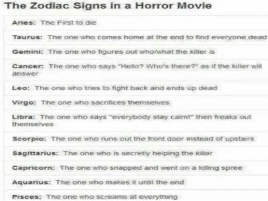 If Zodiac Signs Were In A Horror Movie