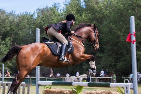 Fall Equestrian