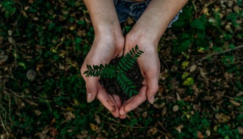https://unsplash.com/photos/x8ZStukS2PM