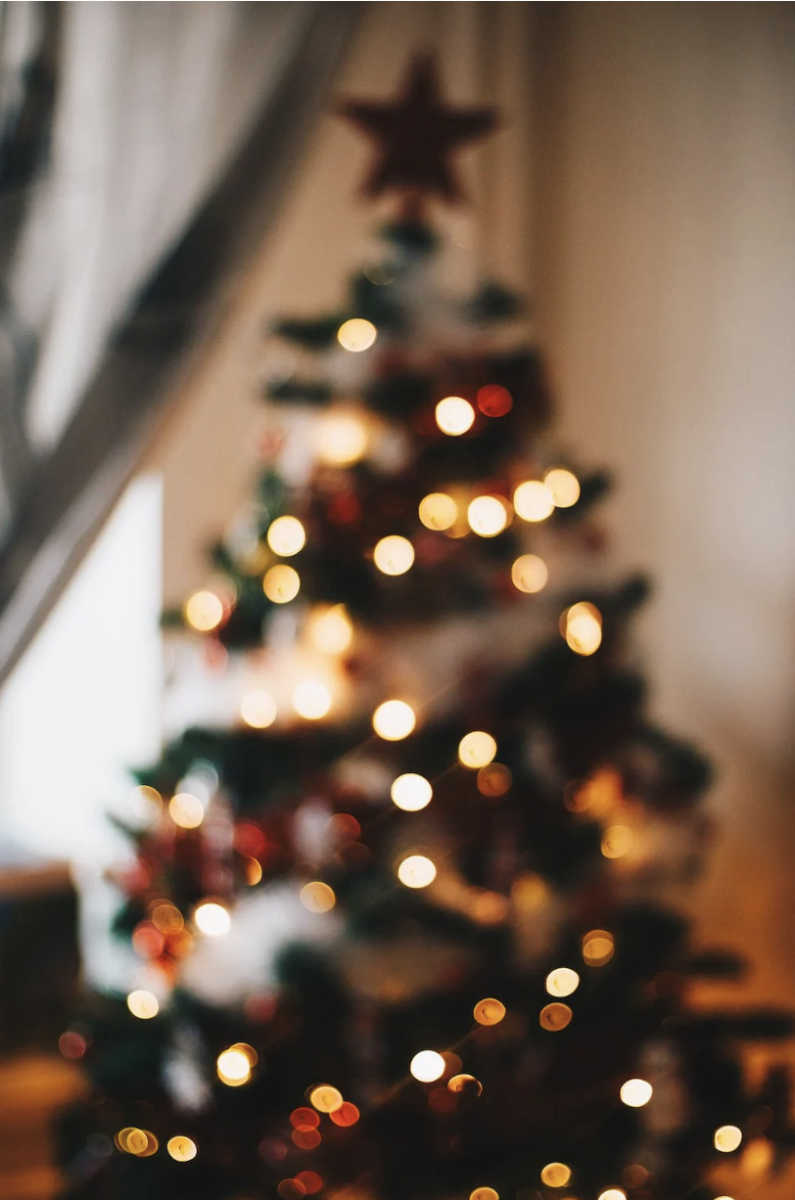 Green+Christmas+Tree+With+String+Lights+photographed+by+Kristina+Paukshtite+%0A%0APhoto+sourced+from+Pexels
